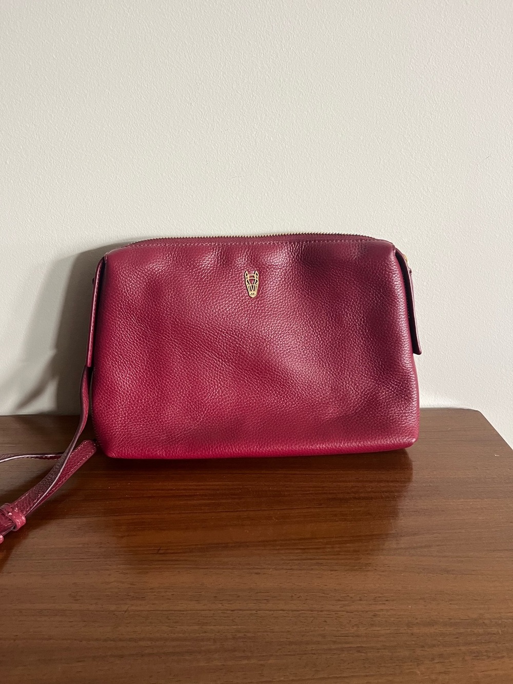 Leather Crossbody Bag in Red